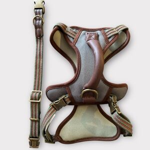 Reddy Small Harness & Collar Set